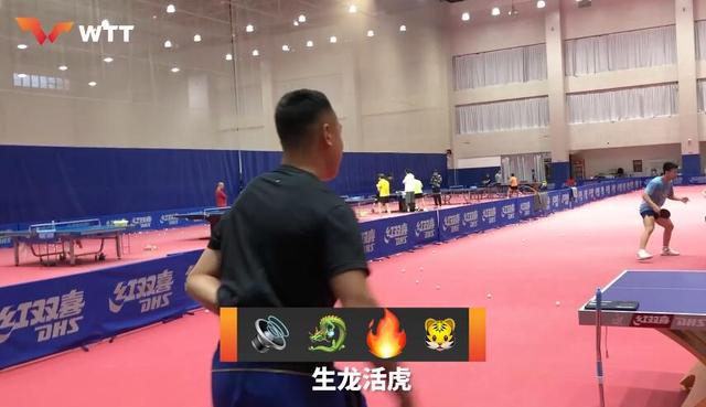 有爱！国乒世界第一与顾玉婷一起玩游戏，姐妹俩猜成语欢乐多