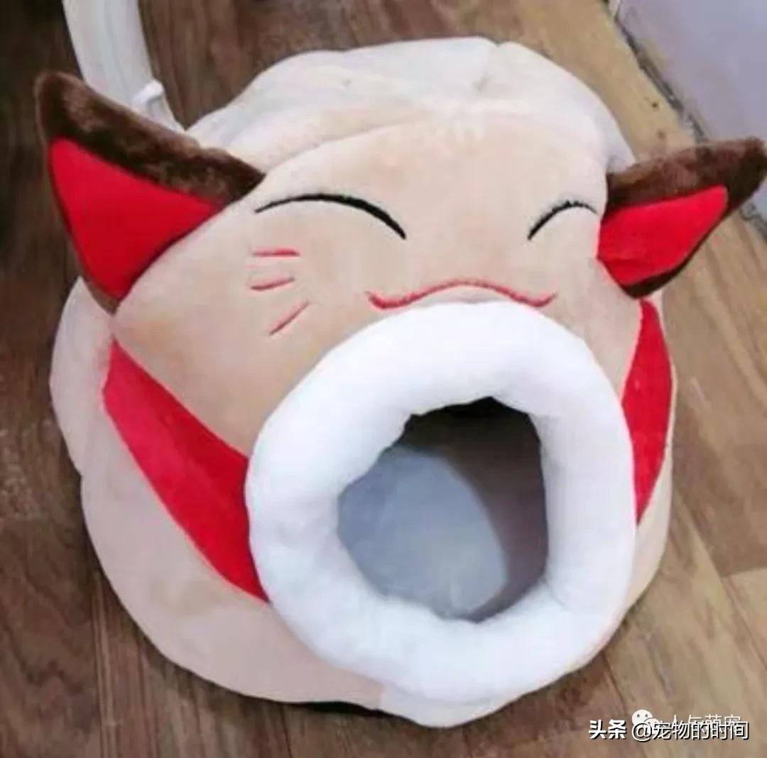 新手养猫一个月要花费多少钱,养猫最低一个月需要花多少钱