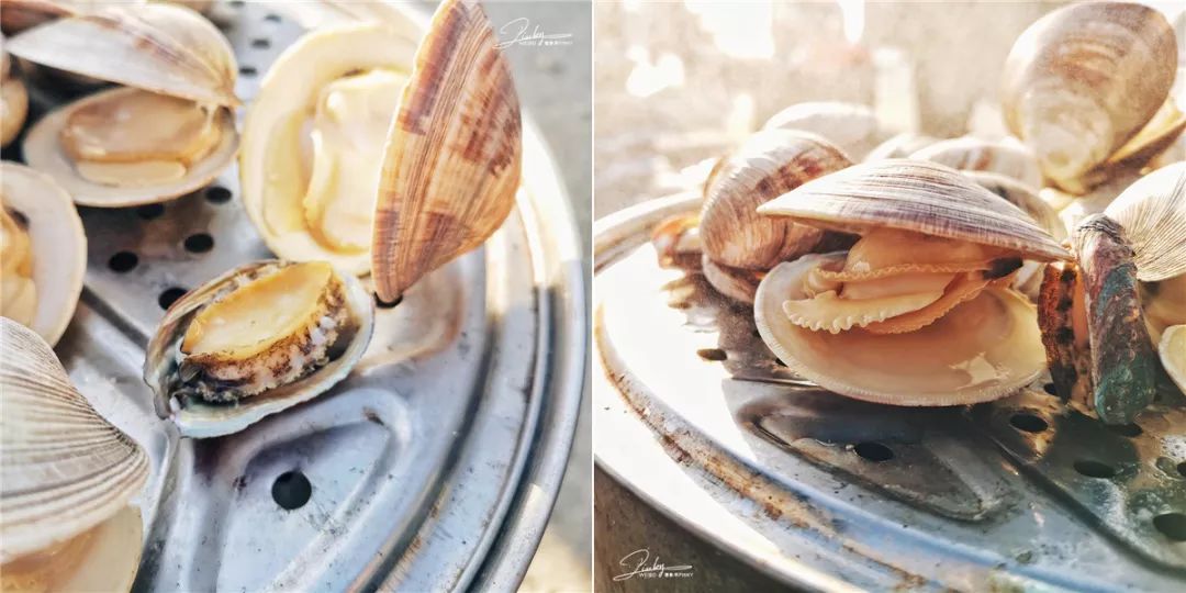 推荐去的十个看海的地方,推荐去的十个免费看海的地方