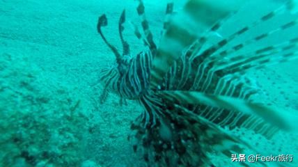 最值得一去的海岛推荐,适合自由行的东南亚海岛