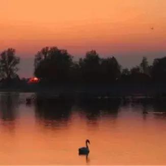 背下的十首宋词,十首宋词道尽人生