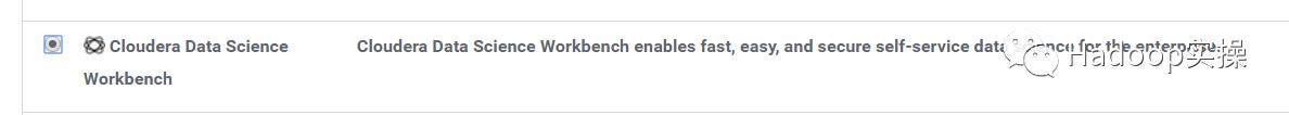 0666-6.2.0-如何在CDH6.2.0上安装CDSW1.5