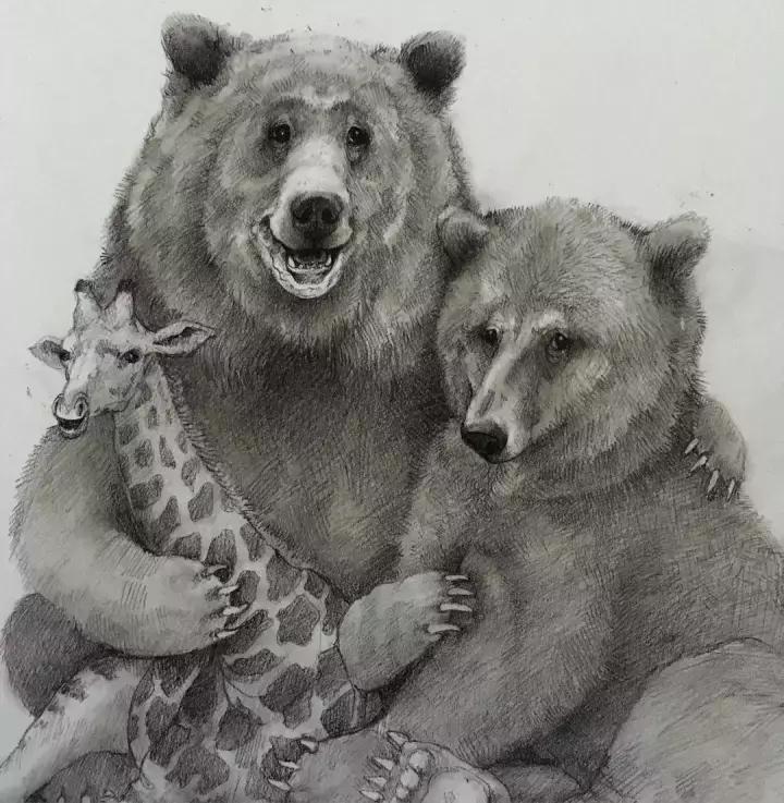 好看的动物素描,一看就会的动物素描