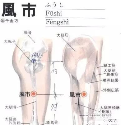 中医穴位减肥按摩手法全程教程,自己用艾灸减肥最快的穴位图解