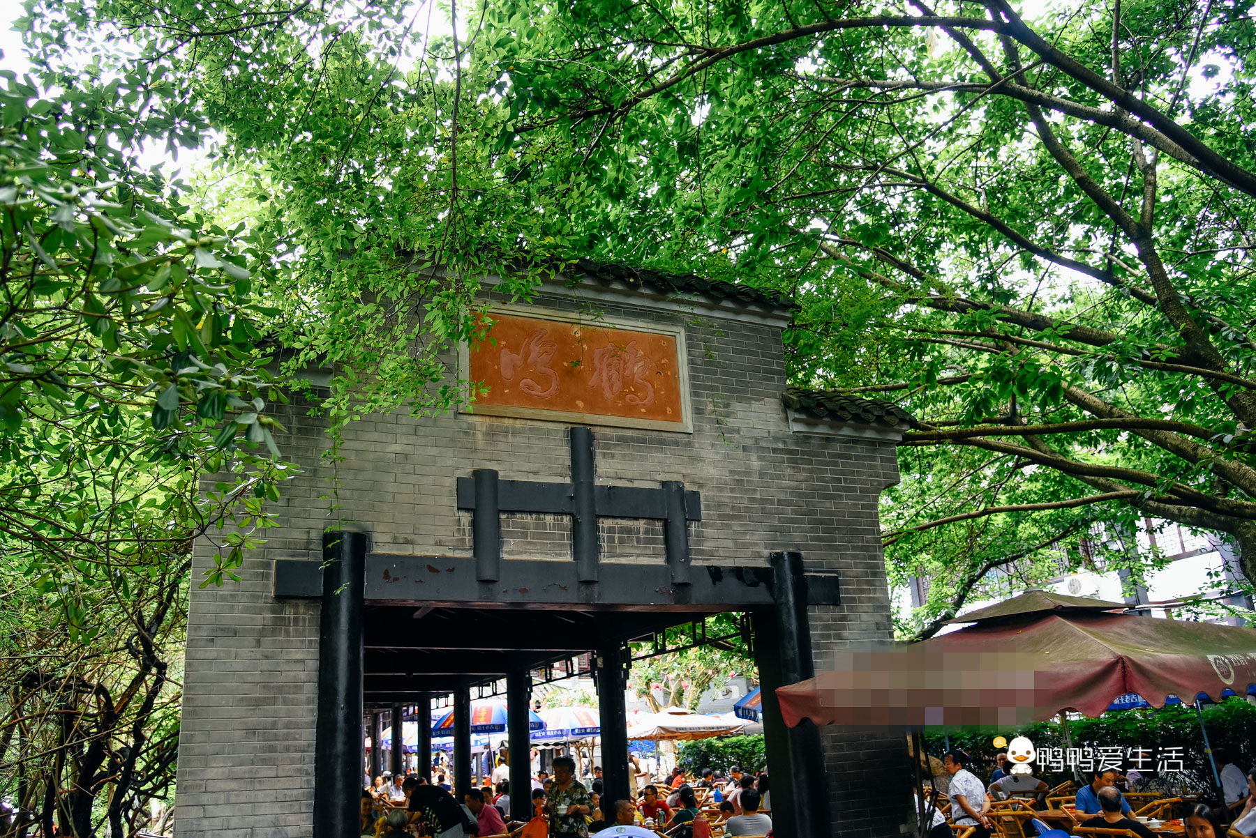 成都人民公园鹤鸣茶舍照片,五一成都人民公园打卡攻略