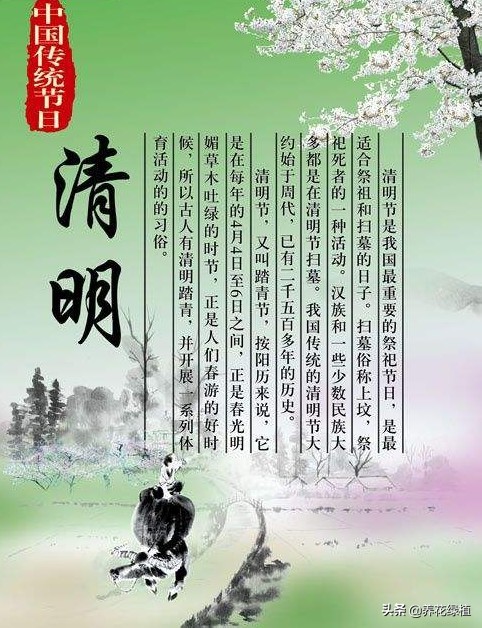 了解清明节的由来以及各种习俗,清明节的知识和习俗