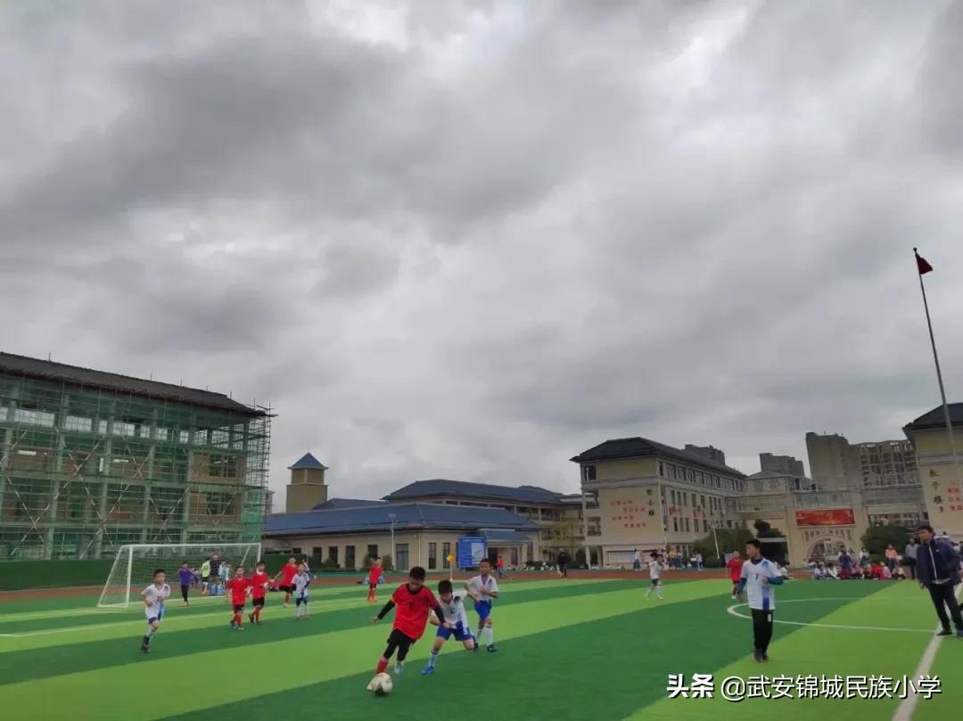 快乐足球放飞梦想演讲稿,快乐足球运动场