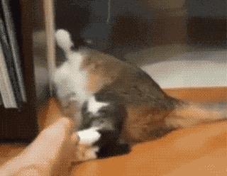 认真做国货的品牌袜子,56种专利的袜子