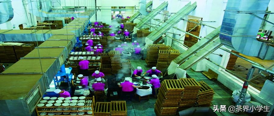 双11最值得购买的普洱茶,2019双11七彩云南普洱茶