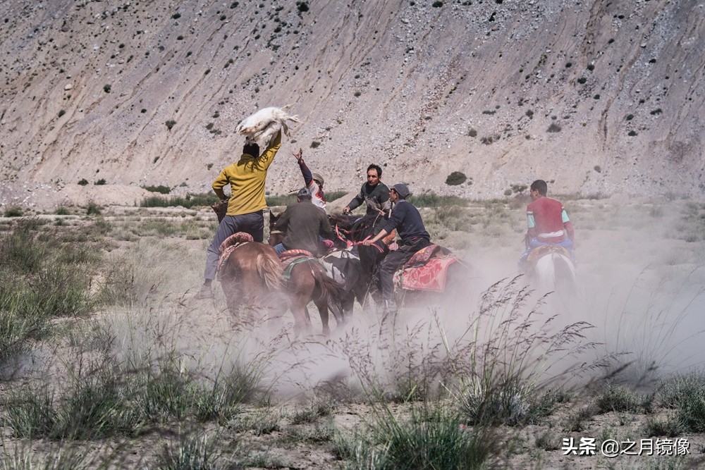 铁血雄鹰全剧,铁血雄鹰全文阅读