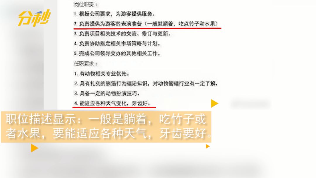 72万年薪！招聘演员假扮熊猫？网友炸了，动物园急了
