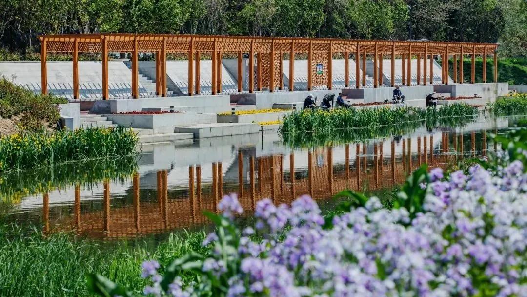 荣获乡村振兴优秀证书,2023乡村振兴成就奖