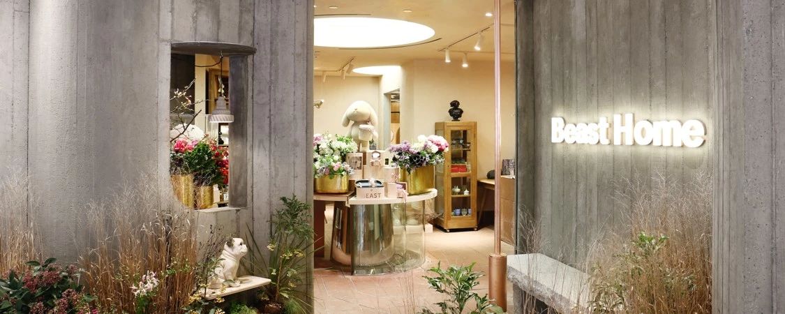 上海家居体验馆探店,上海值得去的家具店排名