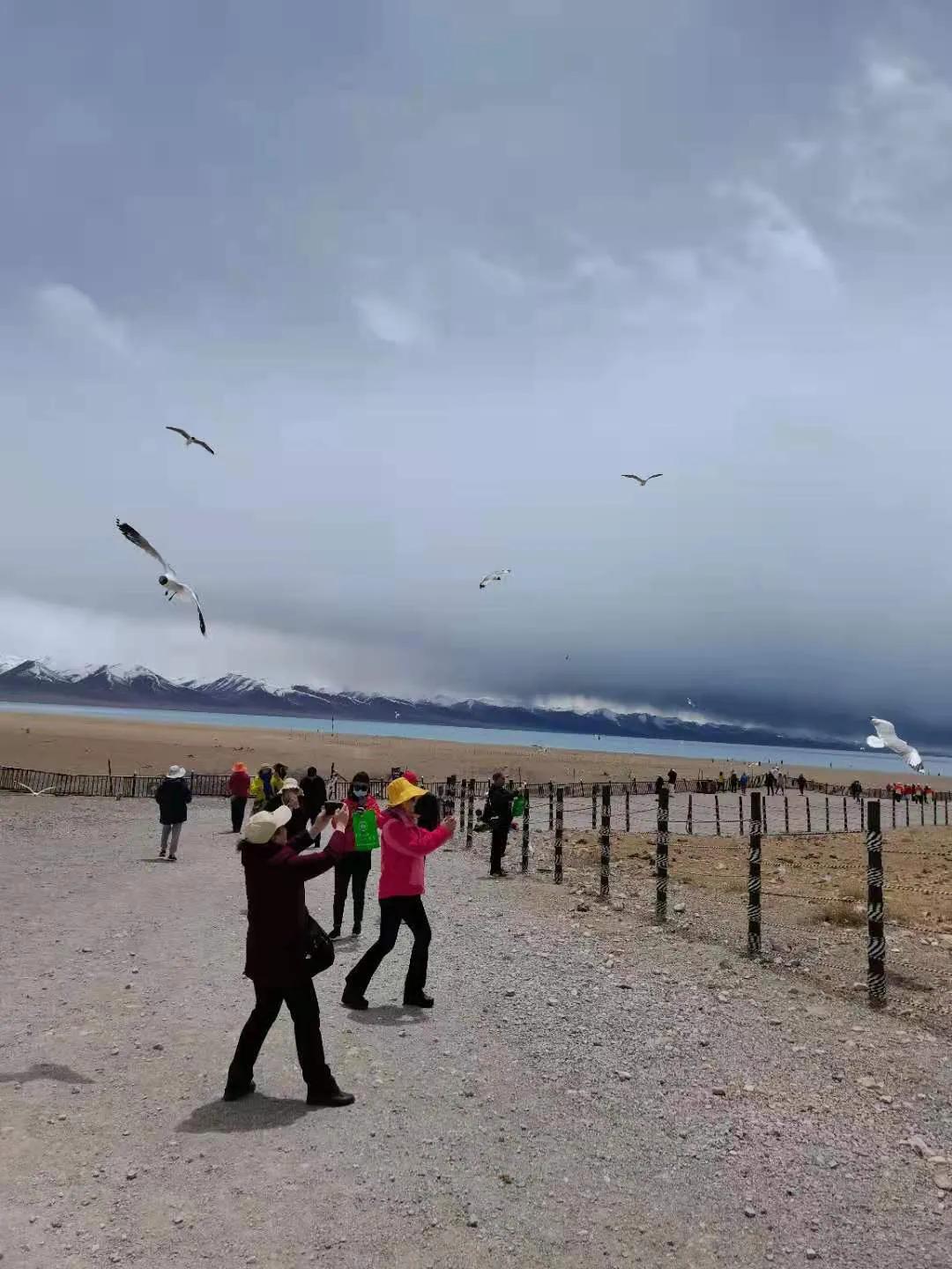 圣湖纳木错自由行,西藏深度游记纳木错