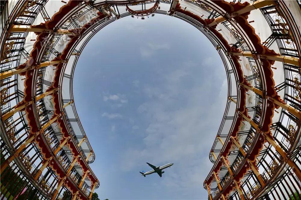 来成都打卡空港花田,成都双流空港花田打卡看飞机