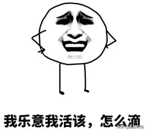 彩虹合唱团春节自救指南完整版,2018春节自救指南