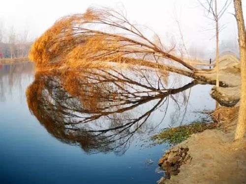 散文篇目推荐,散文题材推荐