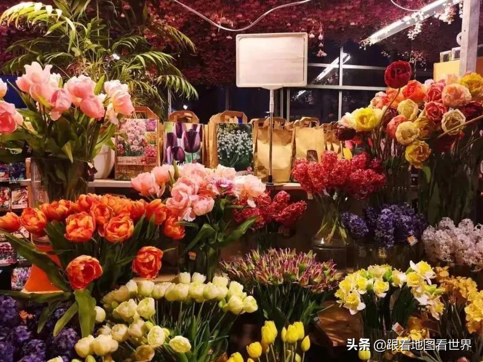 荷兰首都阿姆斯特丹,阿姆斯特丹是北欧吗