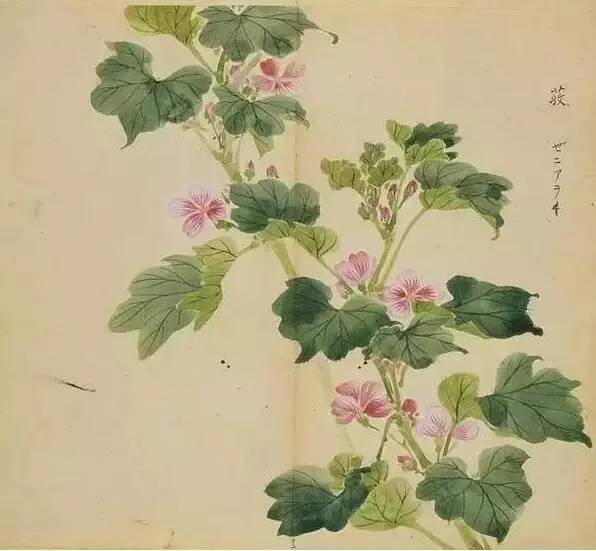 五千年来最美的20首诗,100首美到窒息的诗句