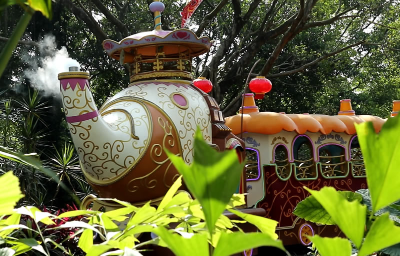 广州一日游长隆野生动物园日记,广州长隆野生动物世界参观指南