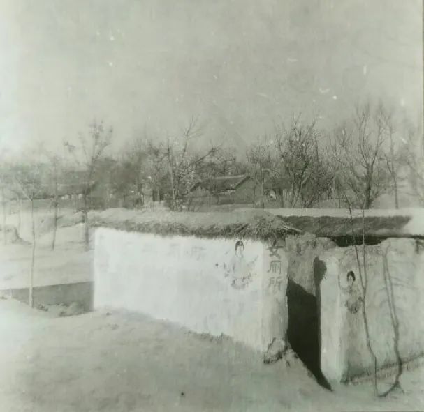 除四害是细菌战吗,以反细菌战为目的的爱国卫生运动