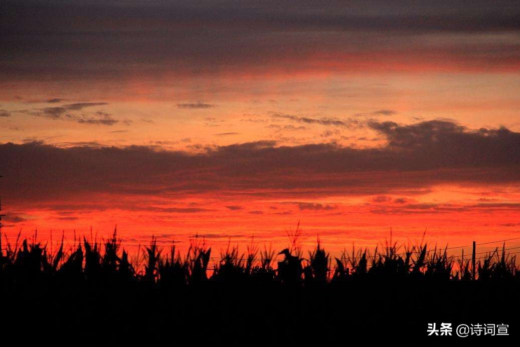 小满的诗句唯美短句,人生最好是小满的诗词