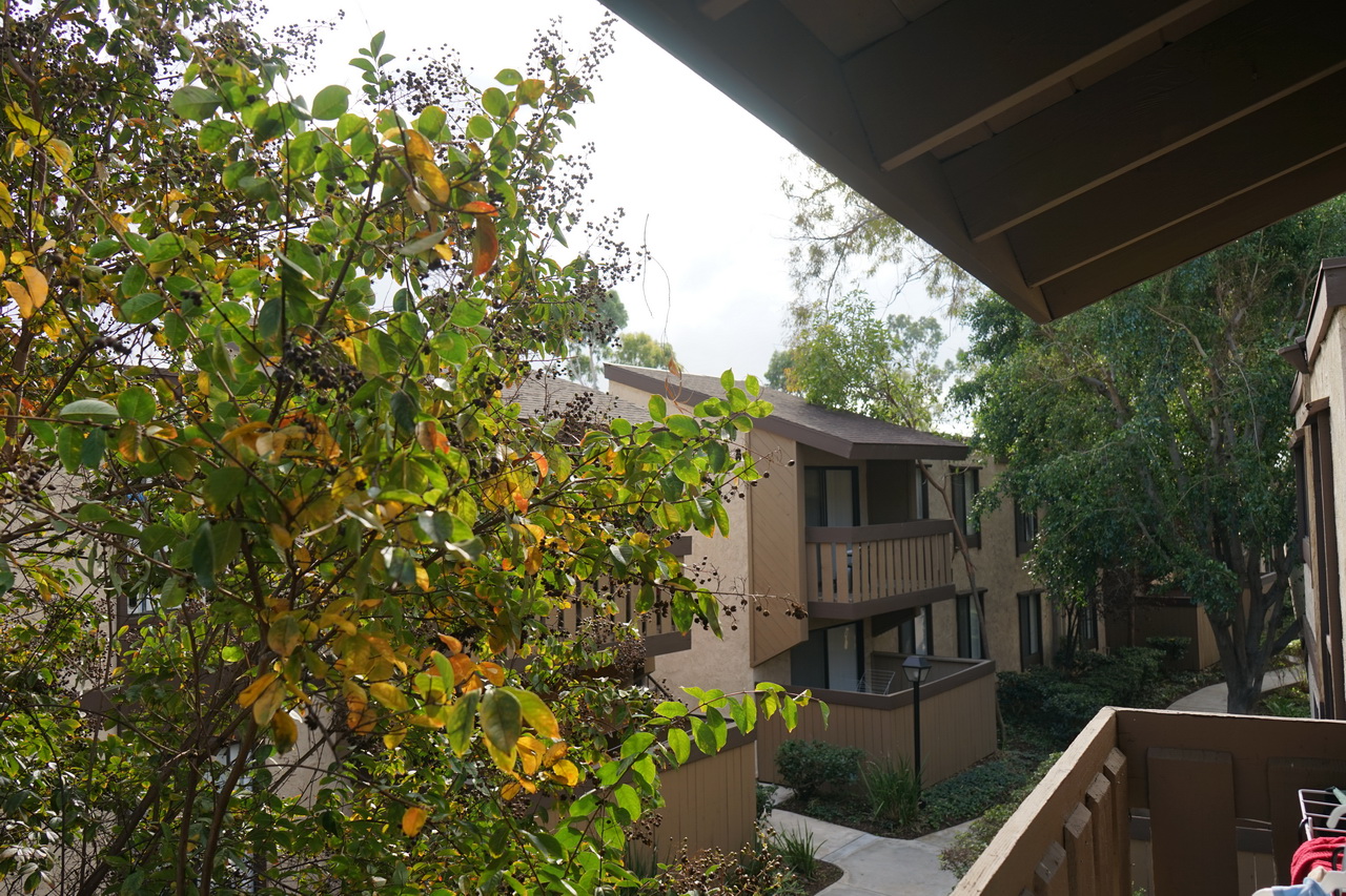 海尔洗烘一体机fpa直驱电机型号,海尔直驱变频洗烘一体机