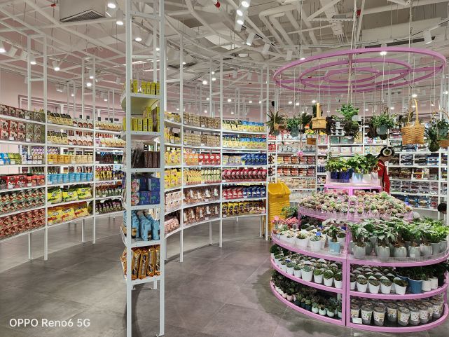 opporeno6到底值不值得入手,目前opporeno6值得入手吗