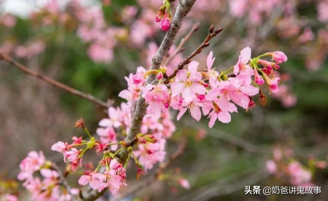 面朝大海春暖花开旅游景点,面朝大海春暖花开游玩