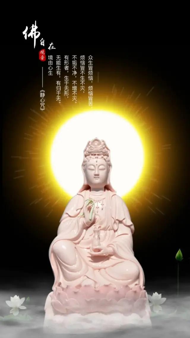 手机壁纸一花一世界一叶一菩提,一叶一菩提壁纸