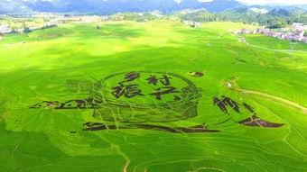 常用杀菌剂及其作用原理汇总资料,园林绿化常用杀虫剂及杀菌剂介绍