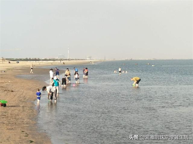 乐亭韩姐农家院价格,天津蓟县乐亭韩姐农家院