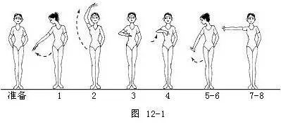 舞蹈基本动作之字步,舞蹈步位基础知识