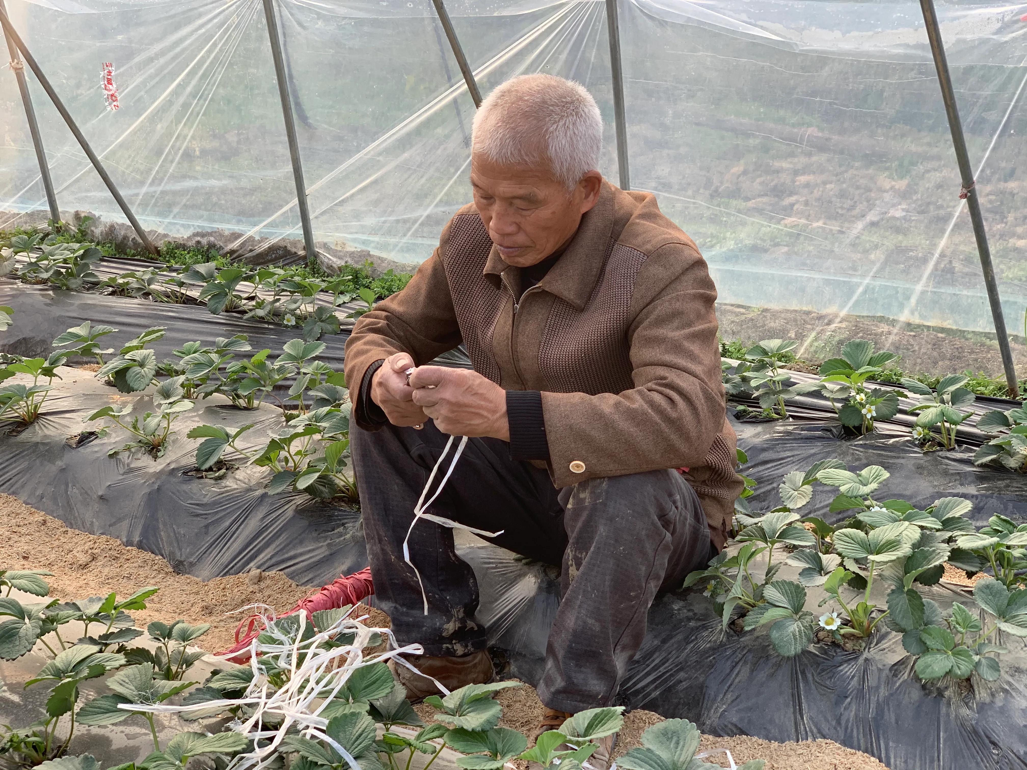“我现在是最幸福的人！”六年时间他从贫困户到致富带头人