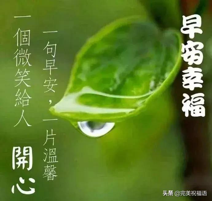 早上好祝福朋友问候语最暖心短句,朋友圈最美早上好问候祝福语