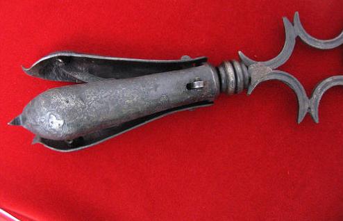 圣女贞德是怎么死的,圣女贞德被谁害死的