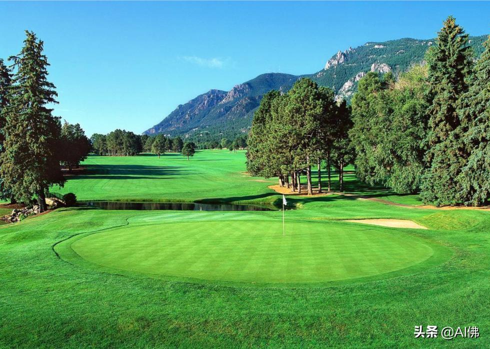 美国圆石滩高尔夫球场,美国高尔夫球场数量