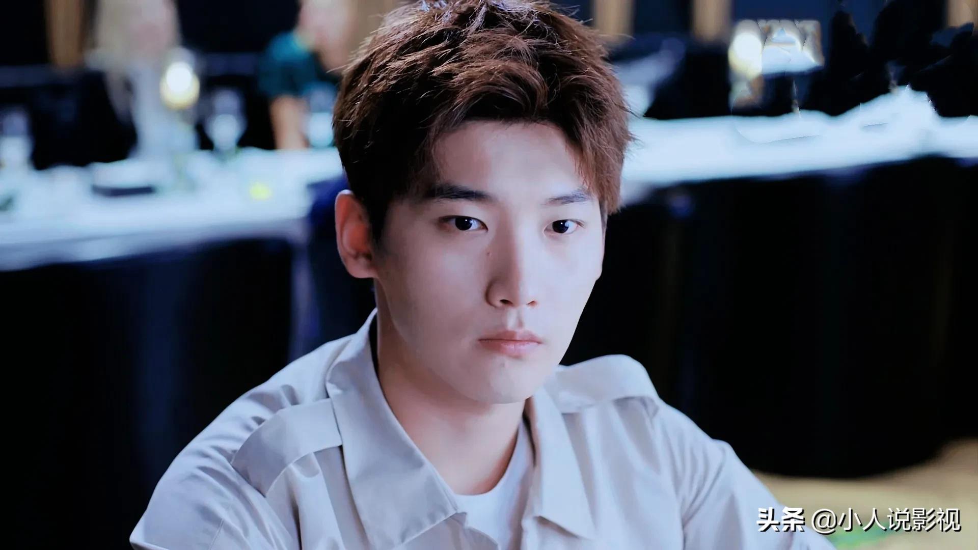 白鹿和邢昭林演过什么剧,世界欠我一个初恋白鹿和邢昭林