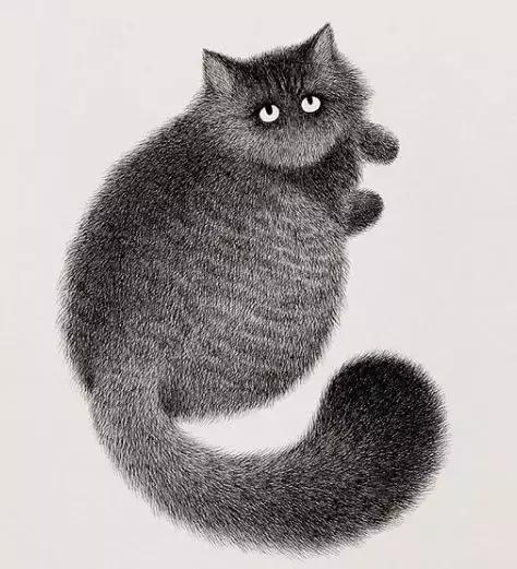 她用2元针管笔作画便惊艳了世界,他用粉笔画了一只猫