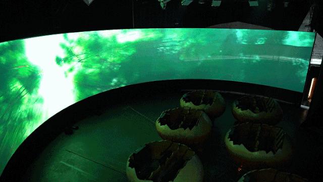 泡艾叶浴、品地热粽，端午到腾冲火山热海，美好生活接“粽”而至