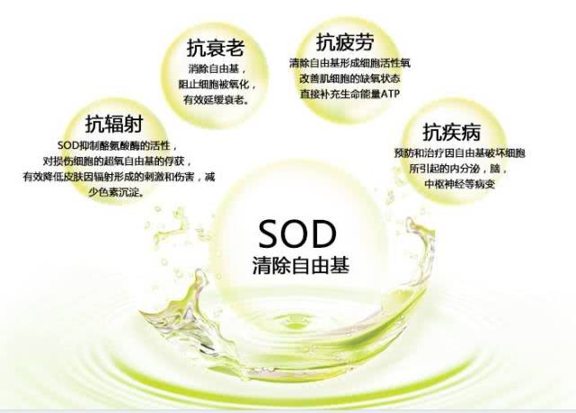 大宝sod蜜到底怎么样,大宝sod蜜到底是什么东西