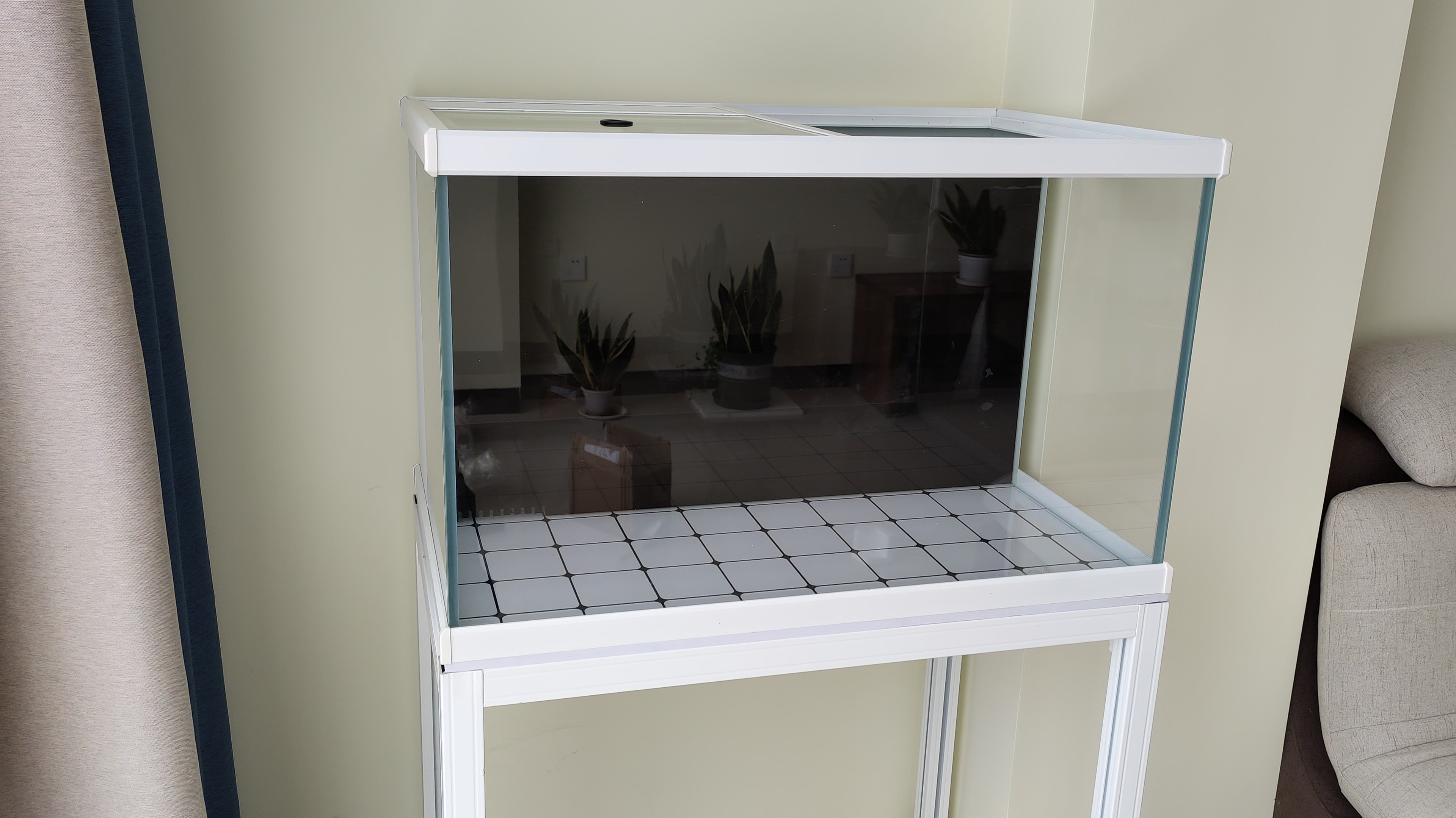 花4块钱买的小鱼缸也太便宜了,80cm的鱼缸适合养多少条发财鱼