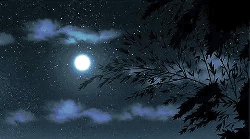 听，夜莺一直在歌唱（十四）