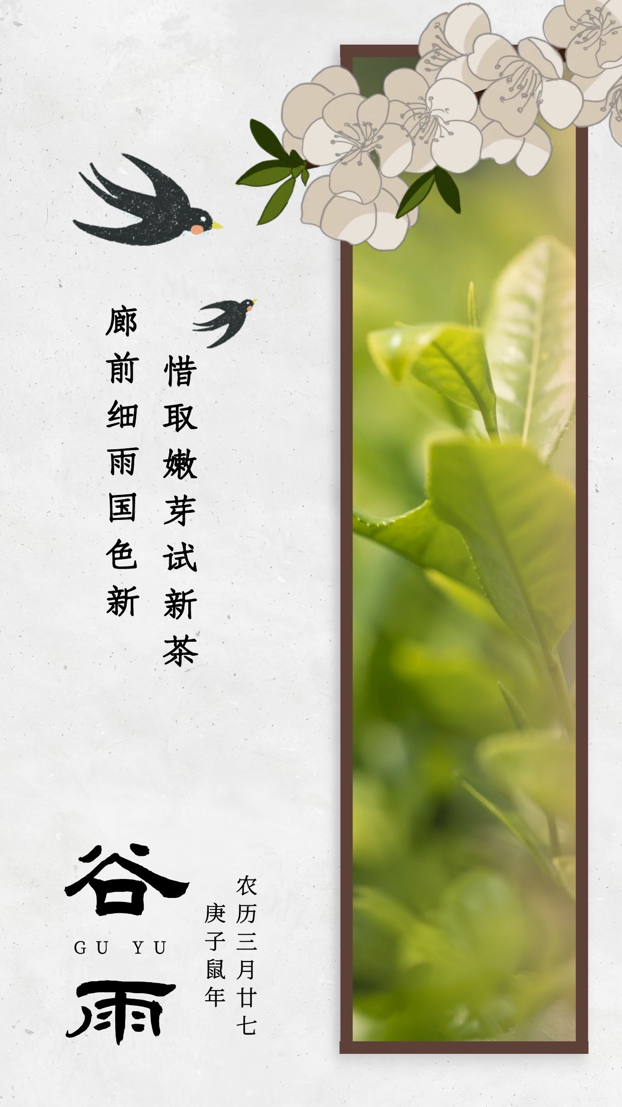 谷雨时节插画线稿,谷雨节气古风插画图片手绘