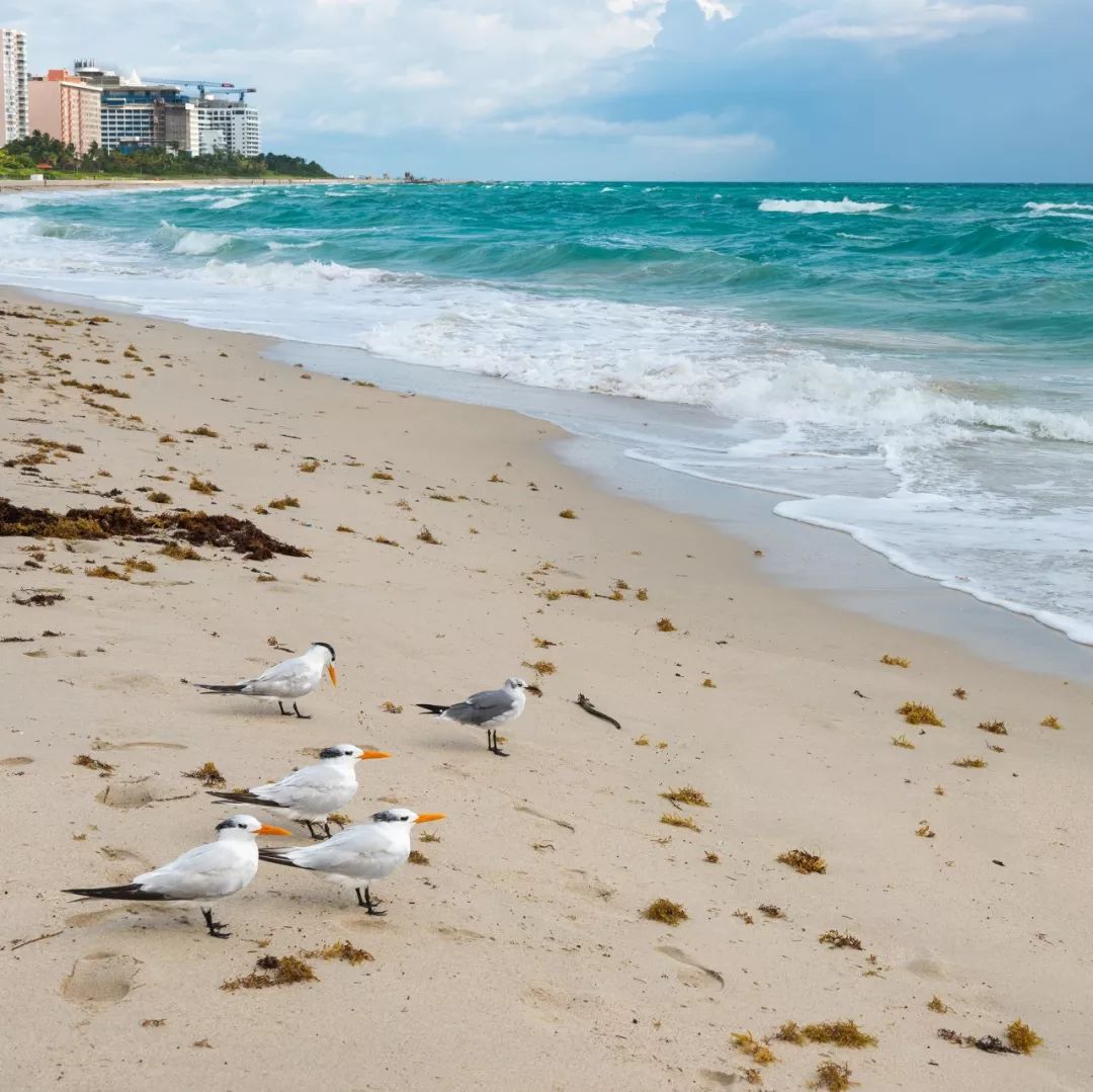 亚洲十大最美度假海岛,100座世界最美海岛