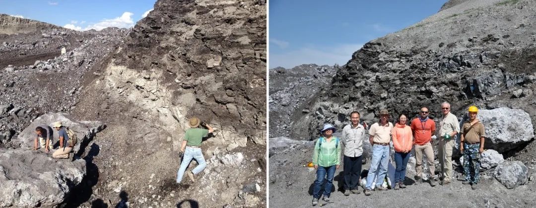 达尔文讲仇恨,达尔文的讨厌之谜是什么