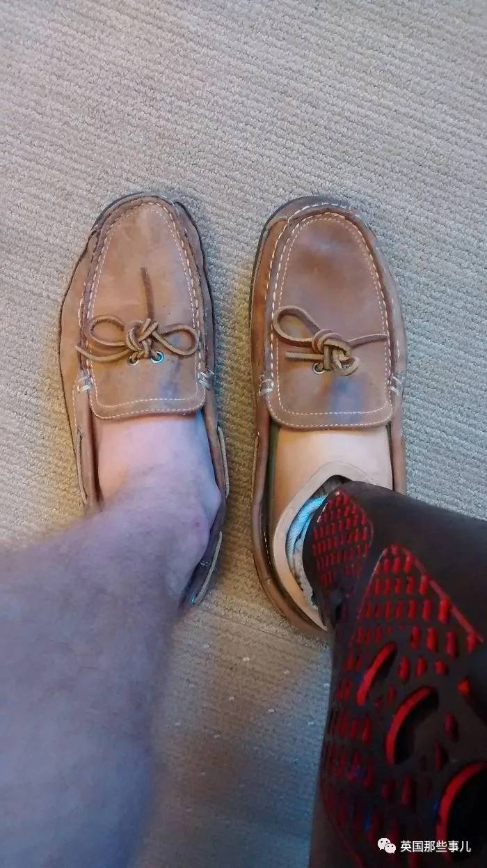 蓝鲸实拍有多大,蓝鲸到底有多大参照物