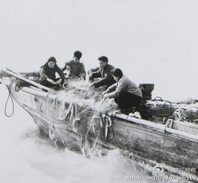 刀鱼5斤以上为啥那么贵,刀鱼为何天价