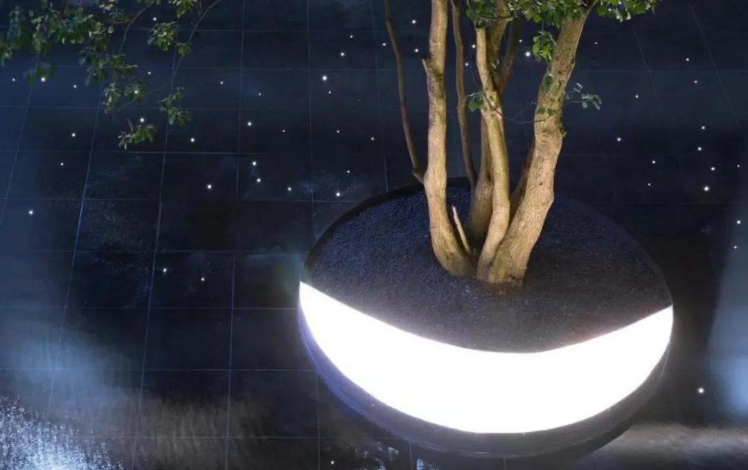 回归于生活的本质,回归生活的真谛