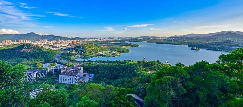 深圳免费公园哪里最好啊,深圳十大免费公园景点大全